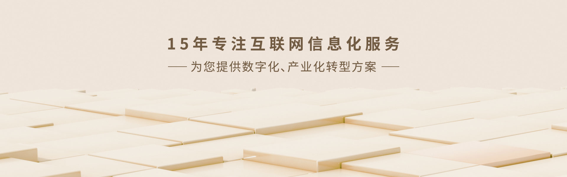 15年专注互联网信息化服务 — 为您提供数字化、产业化转型方案